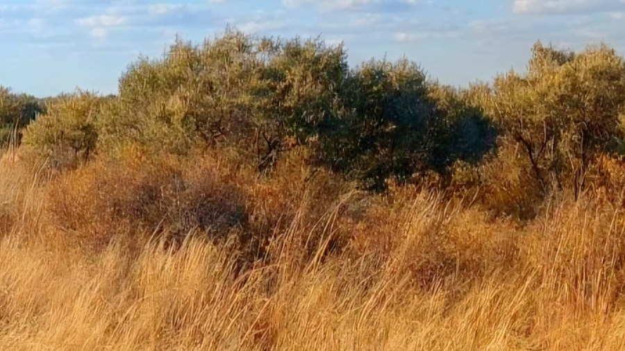 Commercial Property for Sale in Barkly West Northern Cape
